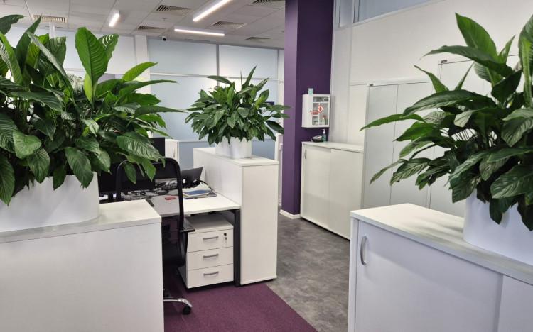 Вид типового кабинета