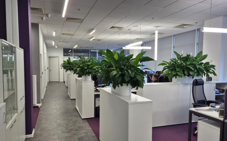 Вид типового кабинета